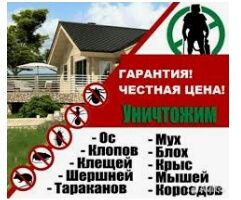 Дезинфекция клопов/Нас Рекомендуют!