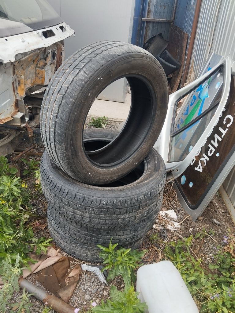 Продам ризину  Dunlop