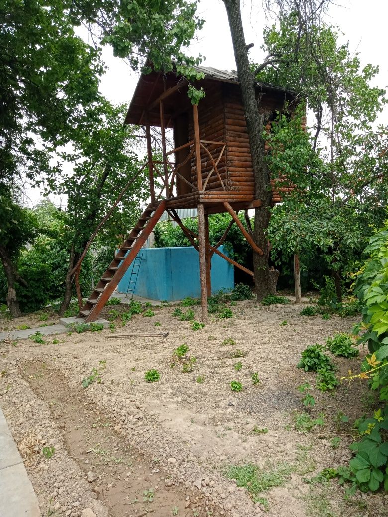Дачи посуточно Шымкент Каинар булак
