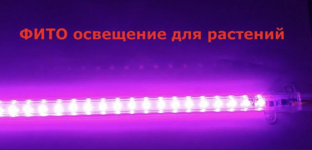 Фитолампа led для ростений
