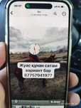 Продам коня трёхлетка