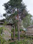 Продам 4 комнатный дом в пригороде