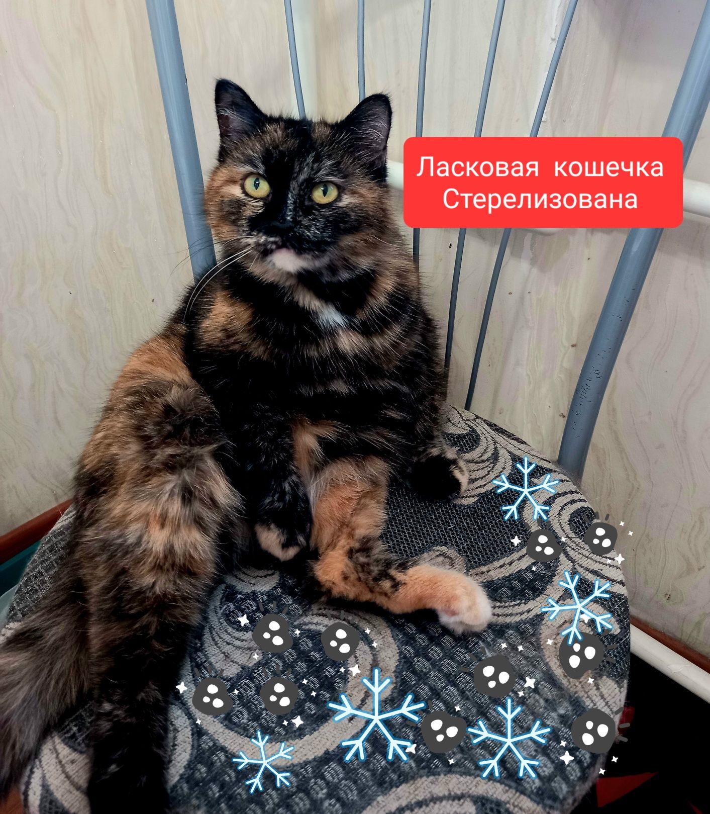 Ласковая кошечка для Души