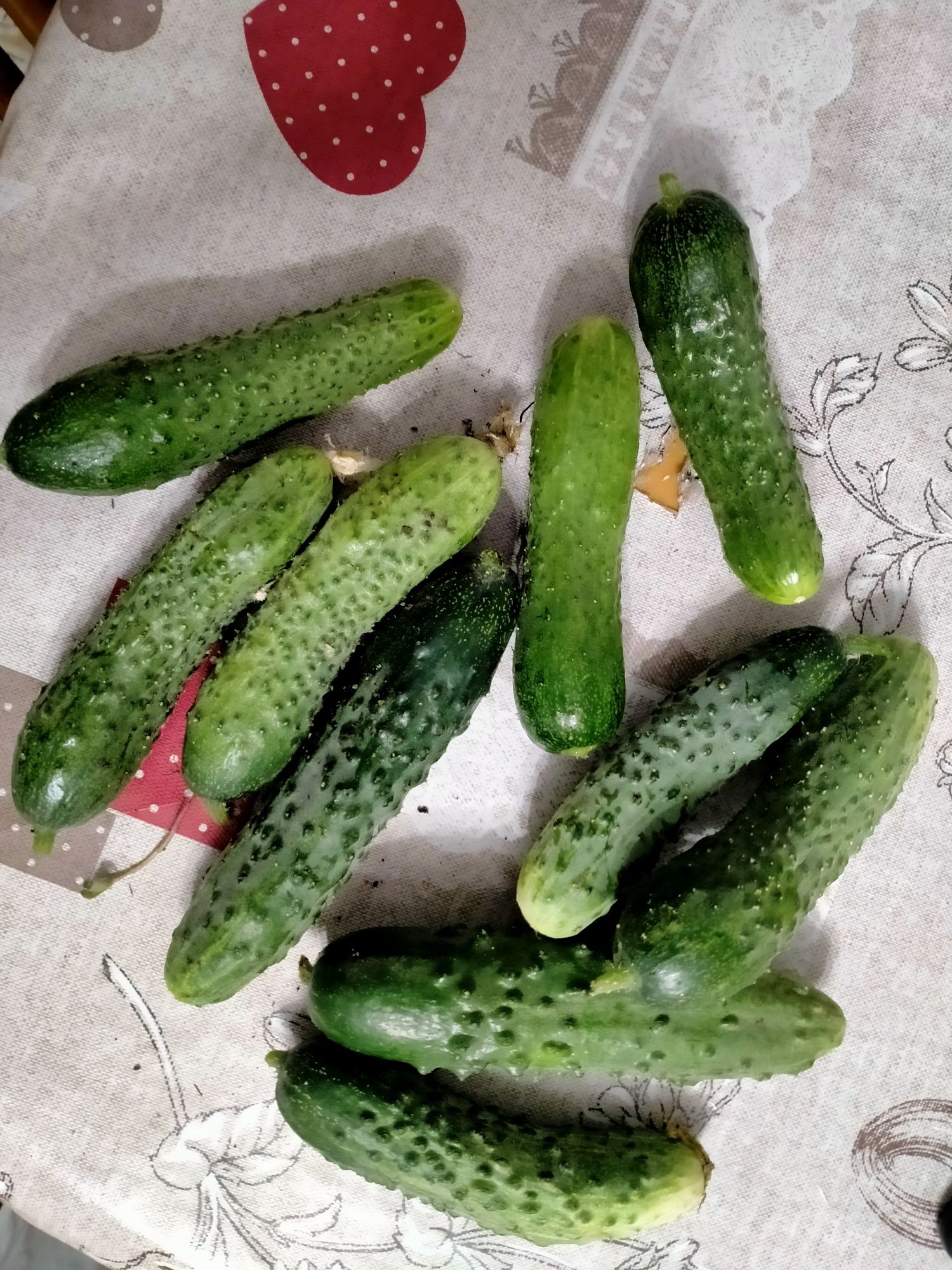 Продам огурцы с дачи