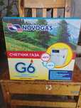 Счетчик газовы G6