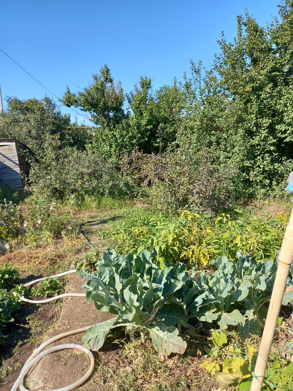 Продам дачу 8 соток