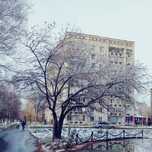 4-х комнатная квартира.