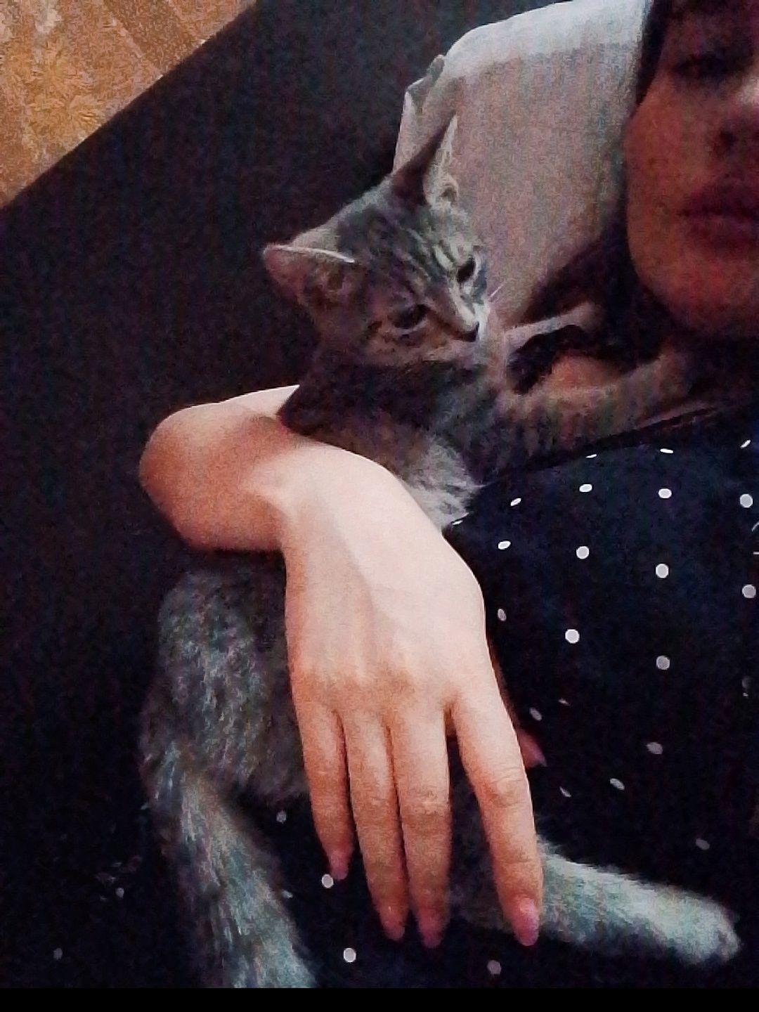 Ласковая кошечка