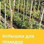 Колышки для подвязки помидоров