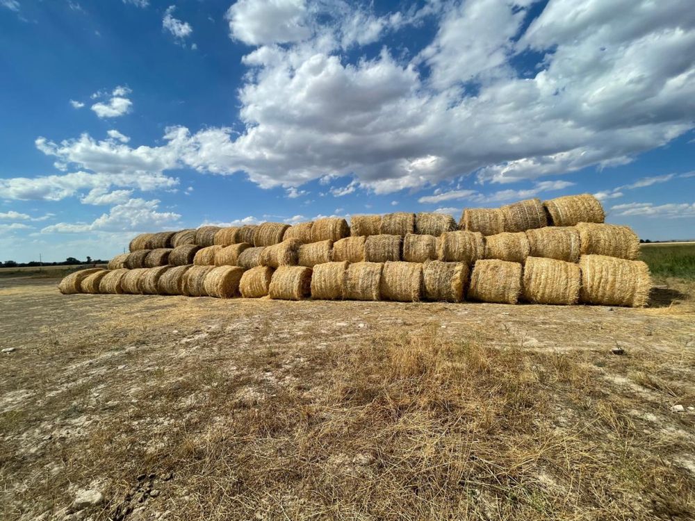 Продам солому в рулоннах и тюках из под ячменя