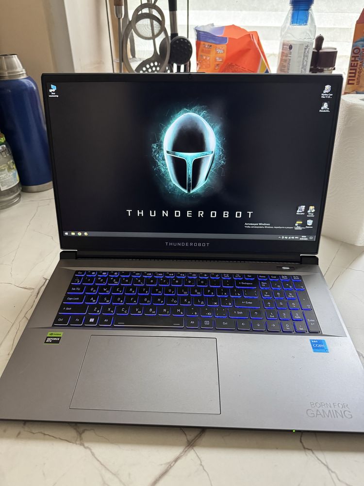 ThundeRobot 911 Plus G3 X 17.3