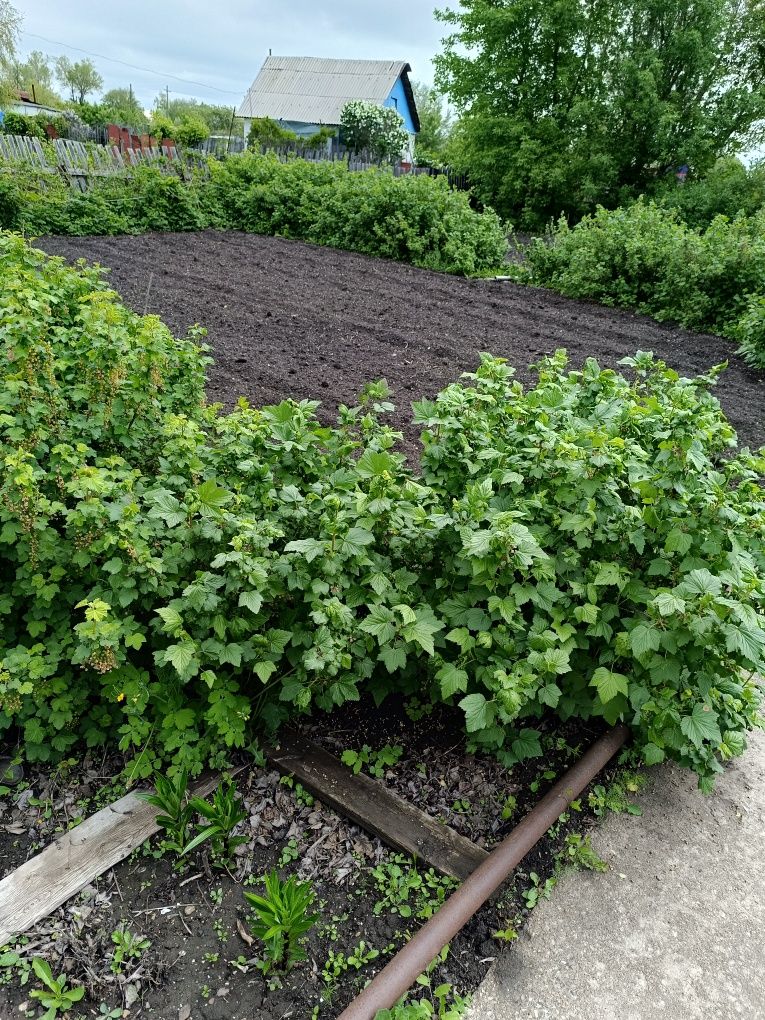 Продам классную дачу в которой можно жить весь сезон.
