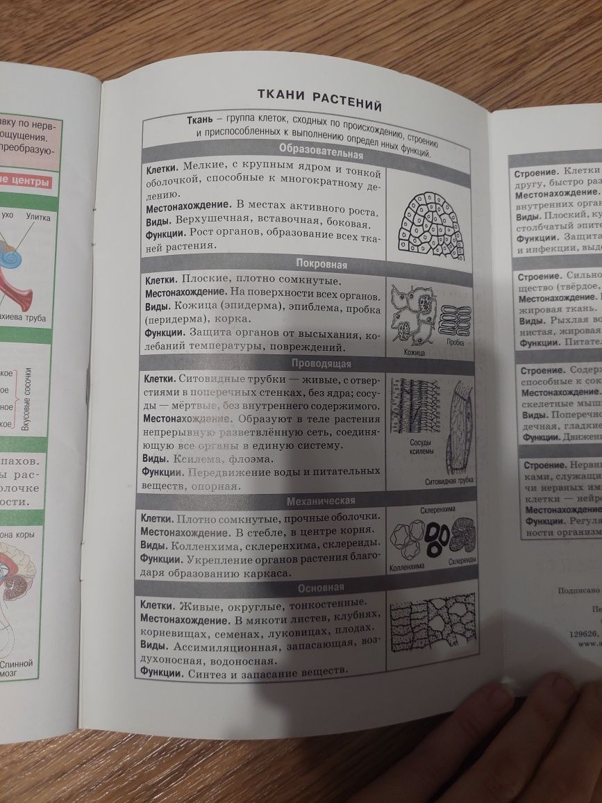 Книга(шпаргалка)  по биологии
