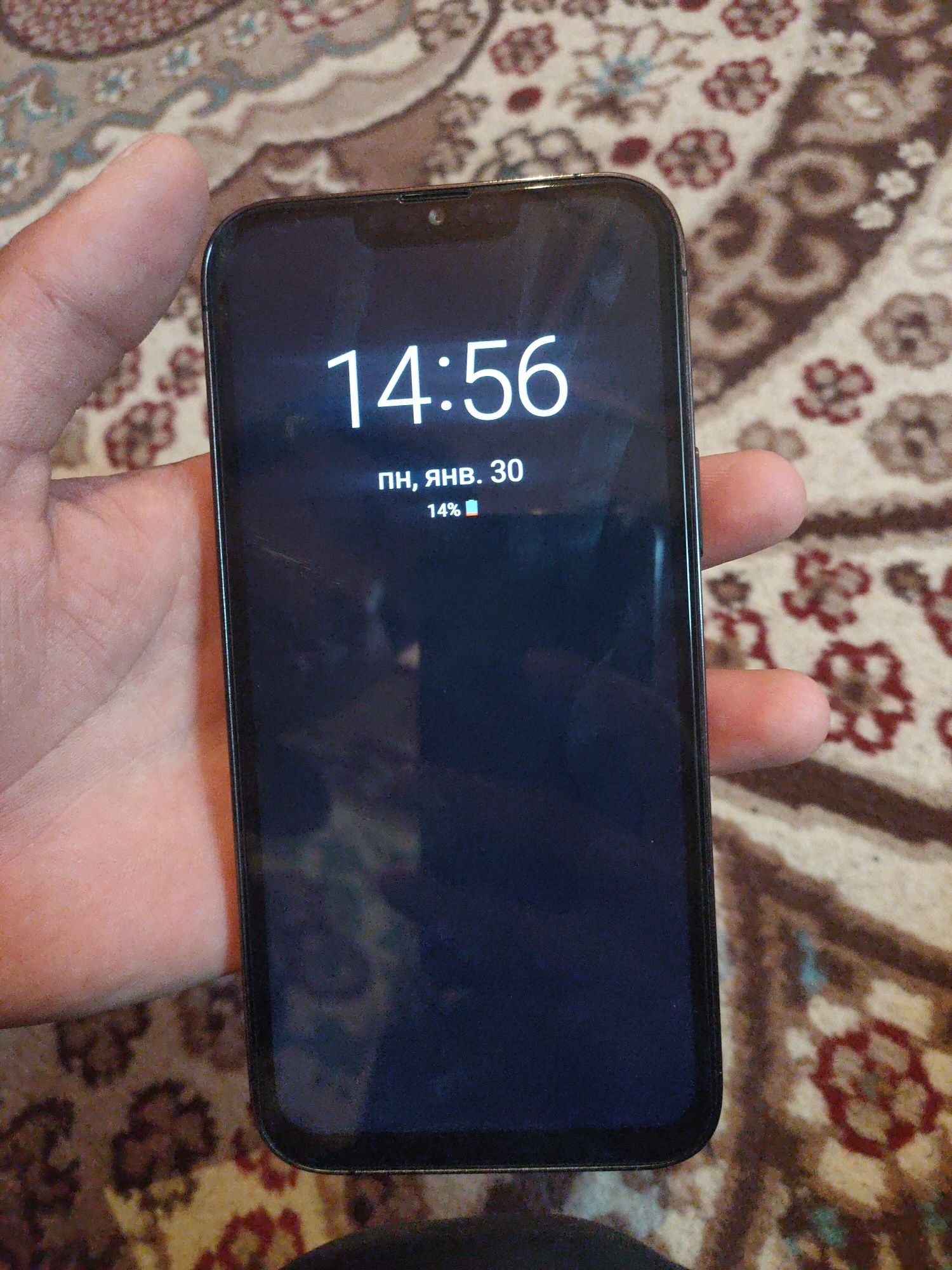 iPhone 13 Pro Max
