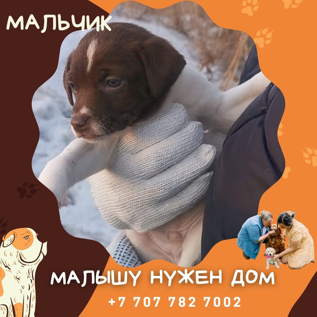 Зеленоглазый мальчишка ждёт своих людей