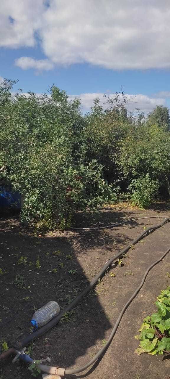 Продам дачу Красный партизан.