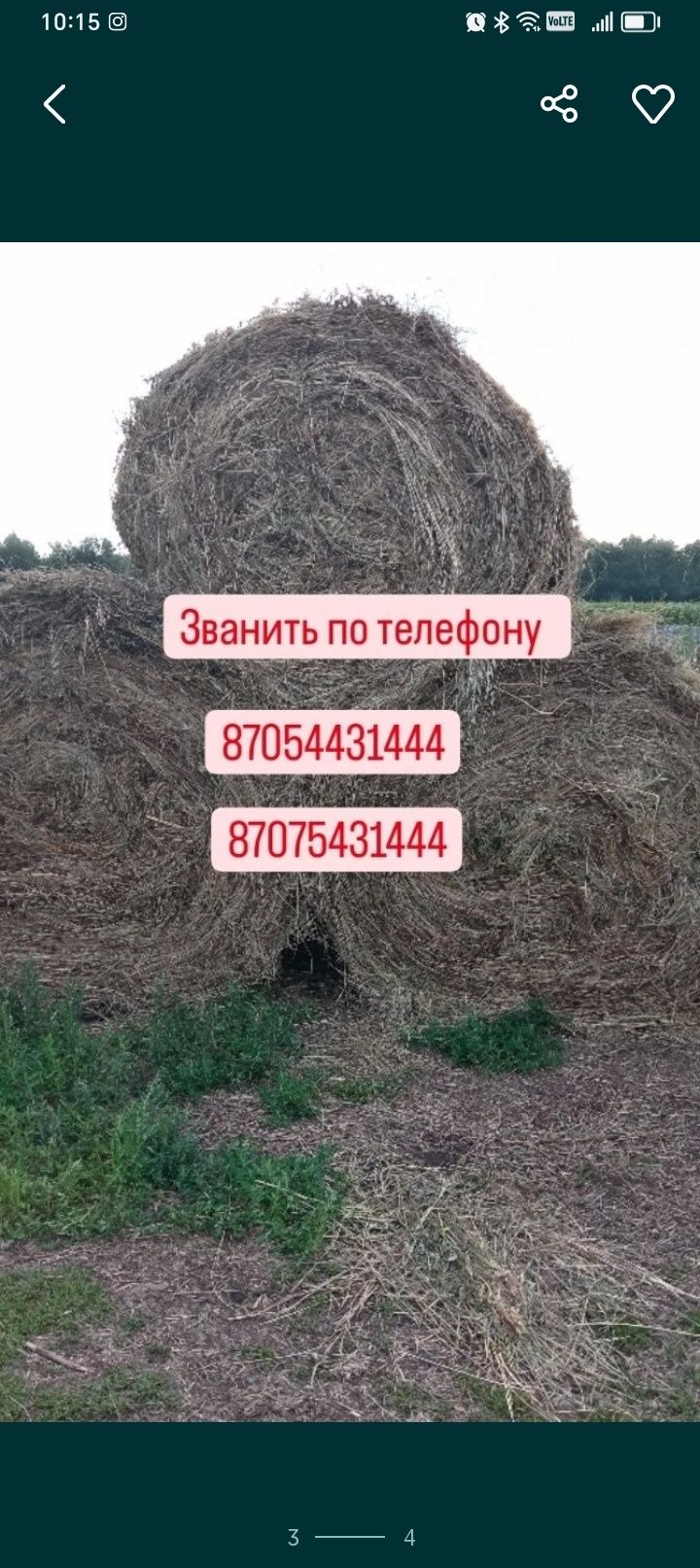 Продам сено в рулонах