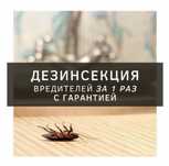 Дезинфекция от клопов, кандала, бурге! Гарантия! Результат 100% Тараз