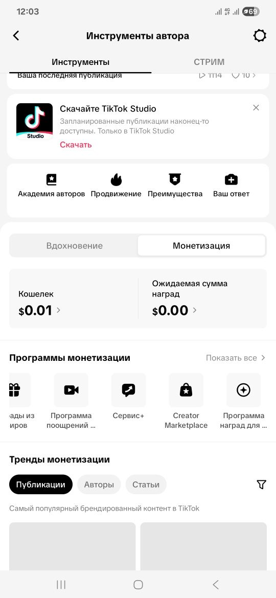 Тик ток акаунт с монетизации