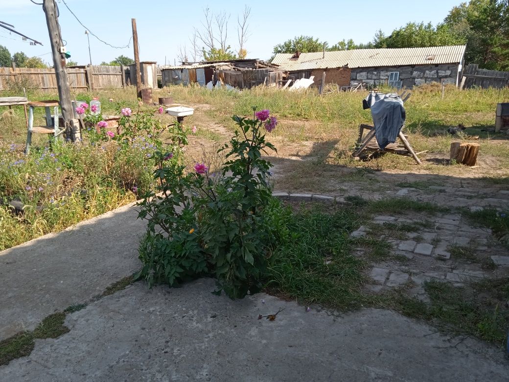 Продам большой ДОМ, бревенчатый добротный ДОМ, срочно!
