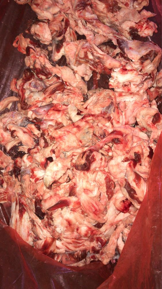 Мясо собакам и кошкам