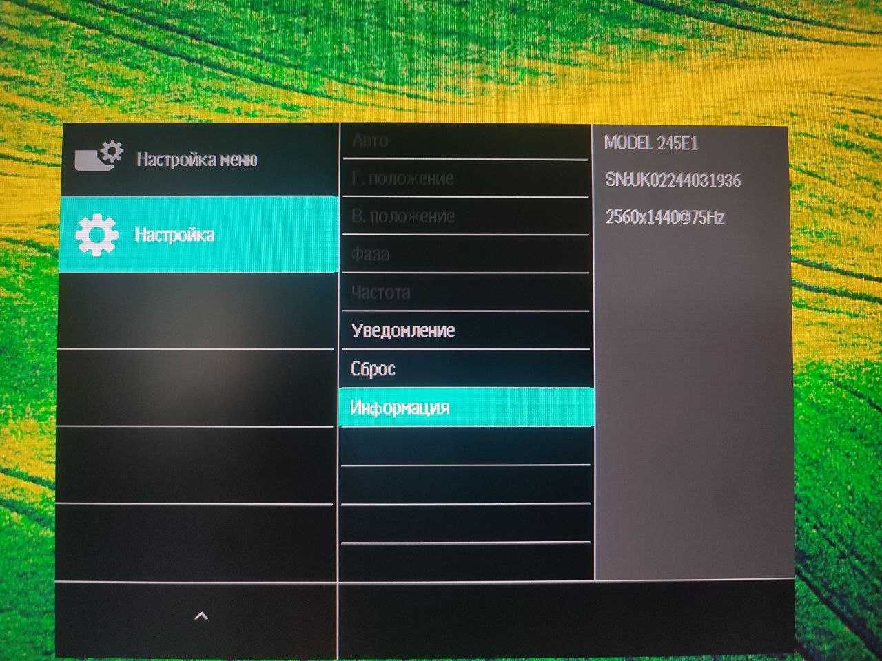 Два монитора. LG 144hz | PHILIPS 75hz