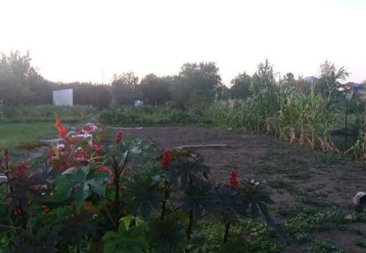 Продам дачу Акжар 1