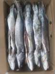 Продам копчёную рыбу
