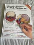 Анатомия человека: атлас раскраска