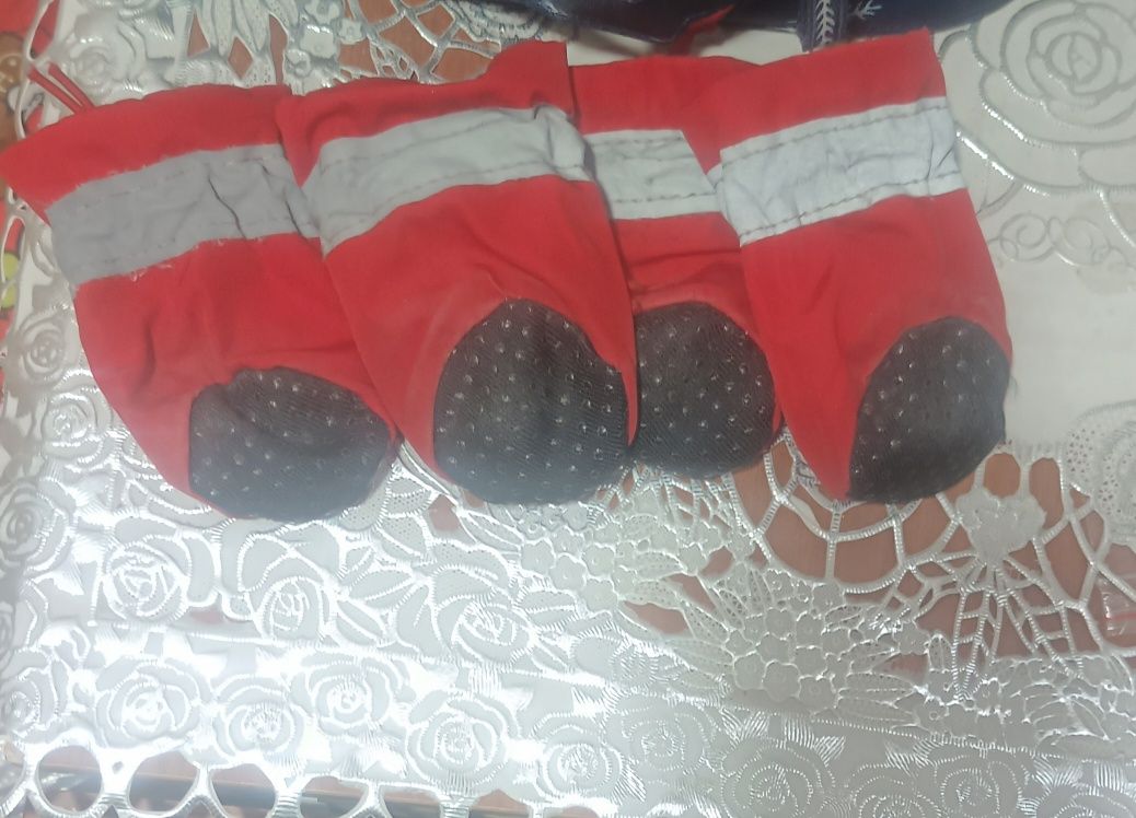 Продам курточку для собачки до 5 кг весом