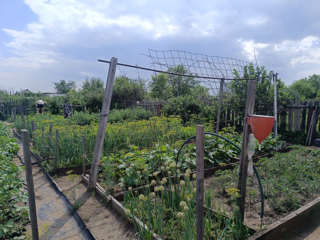 Продам дачу сад Надежда.