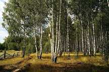 15 соток, Ключевое