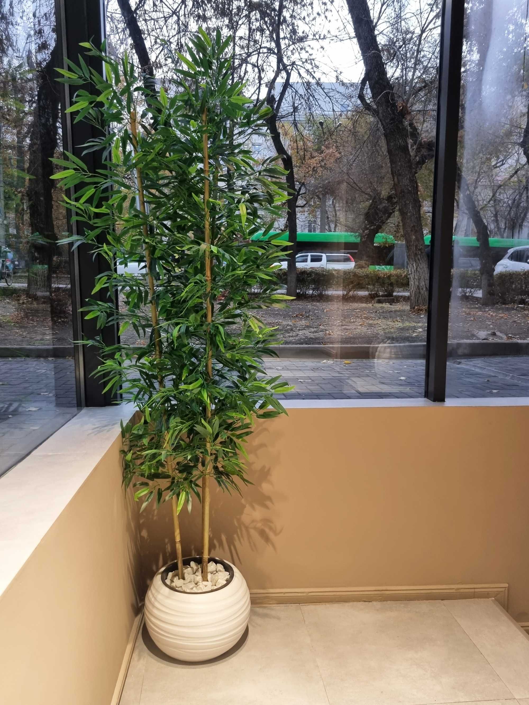 Бамбук искусственное дерево, высота 170 см. На заказ .