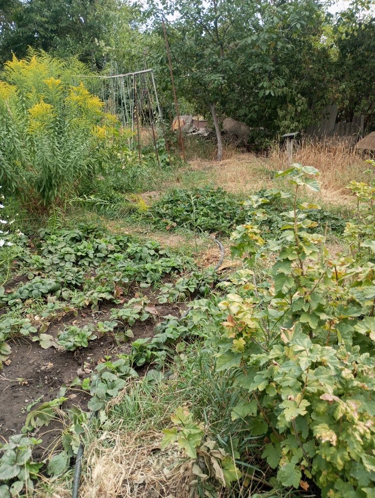 Продам дачу по кульджинке 9 соток