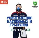 Дезинфекция от клопов, блох, тараканов, кандала. Результат 100%