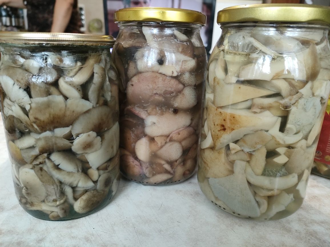 Продам маринованные грибы