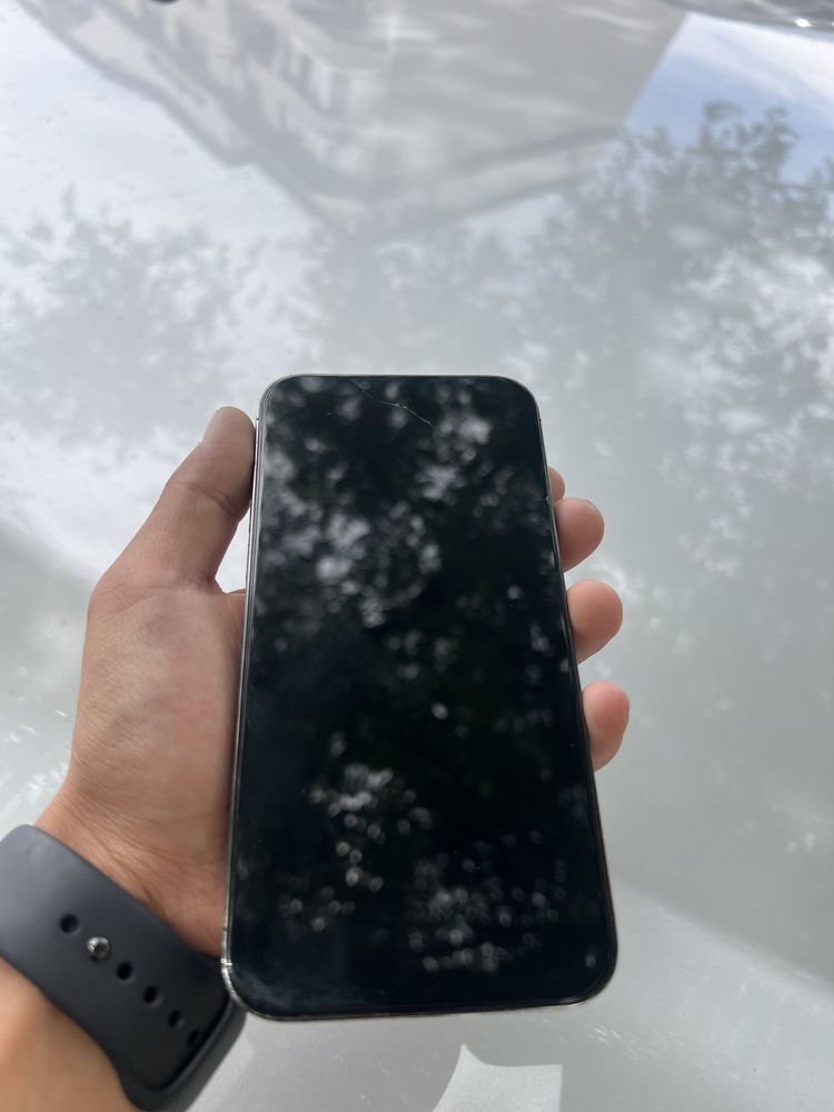 13 PRO MAX 128 gb