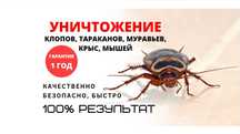 Дезинфекция Уничтожение клопов крыс муравьев тараканов клещей комаров