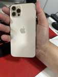 Iphone 12 pro gold