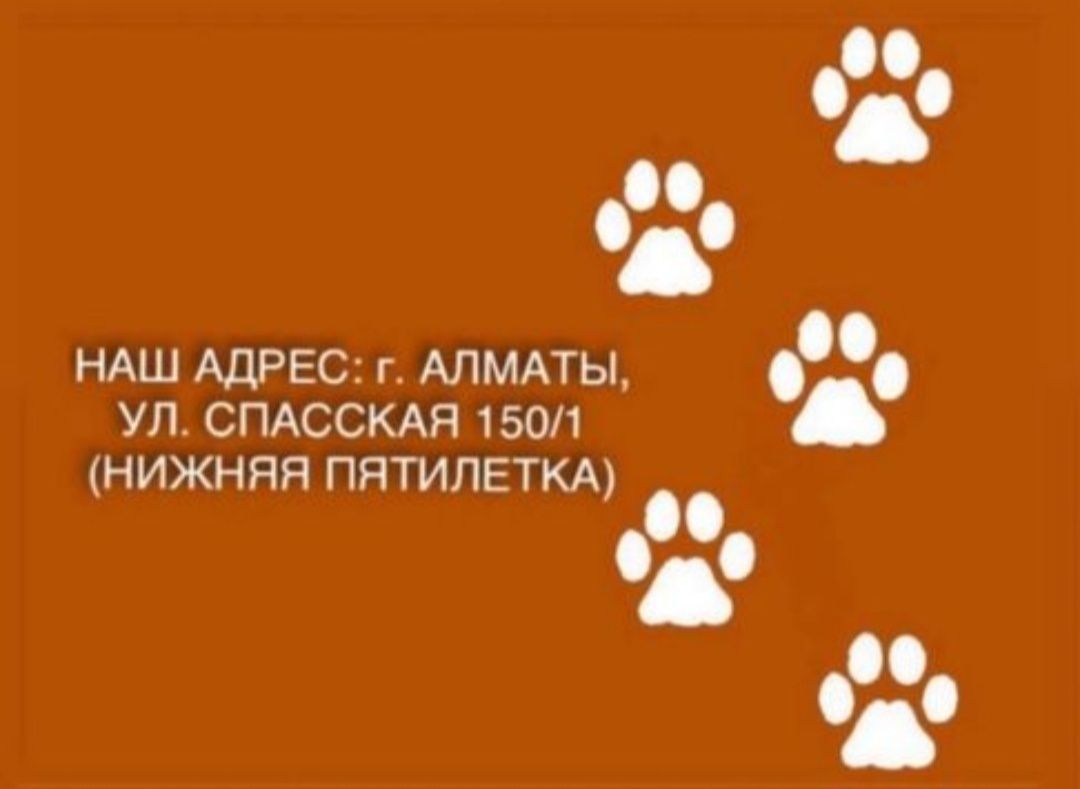 Спасите с отлово котяток и собачек,породистые и без,все добрые