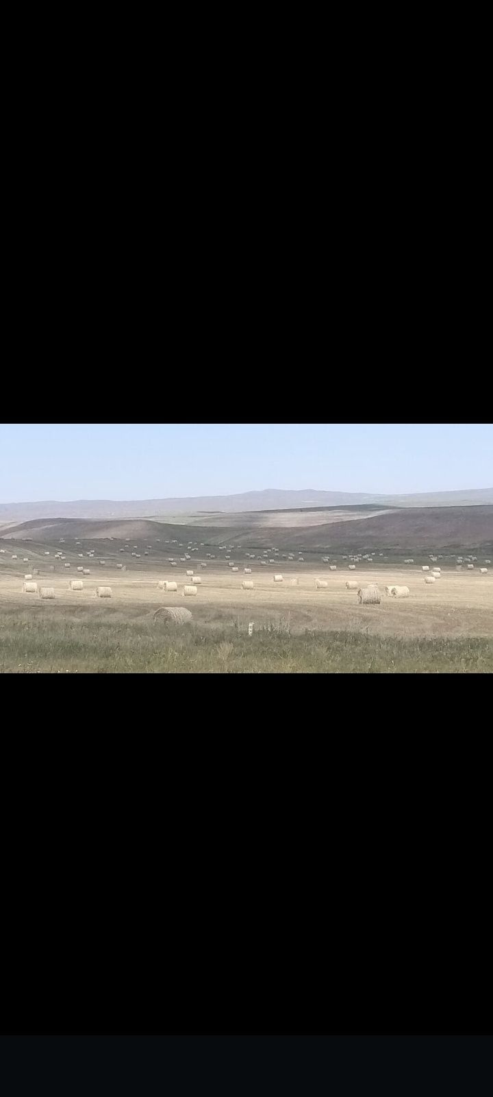 Жоңышқа Рулон сатылады 15000