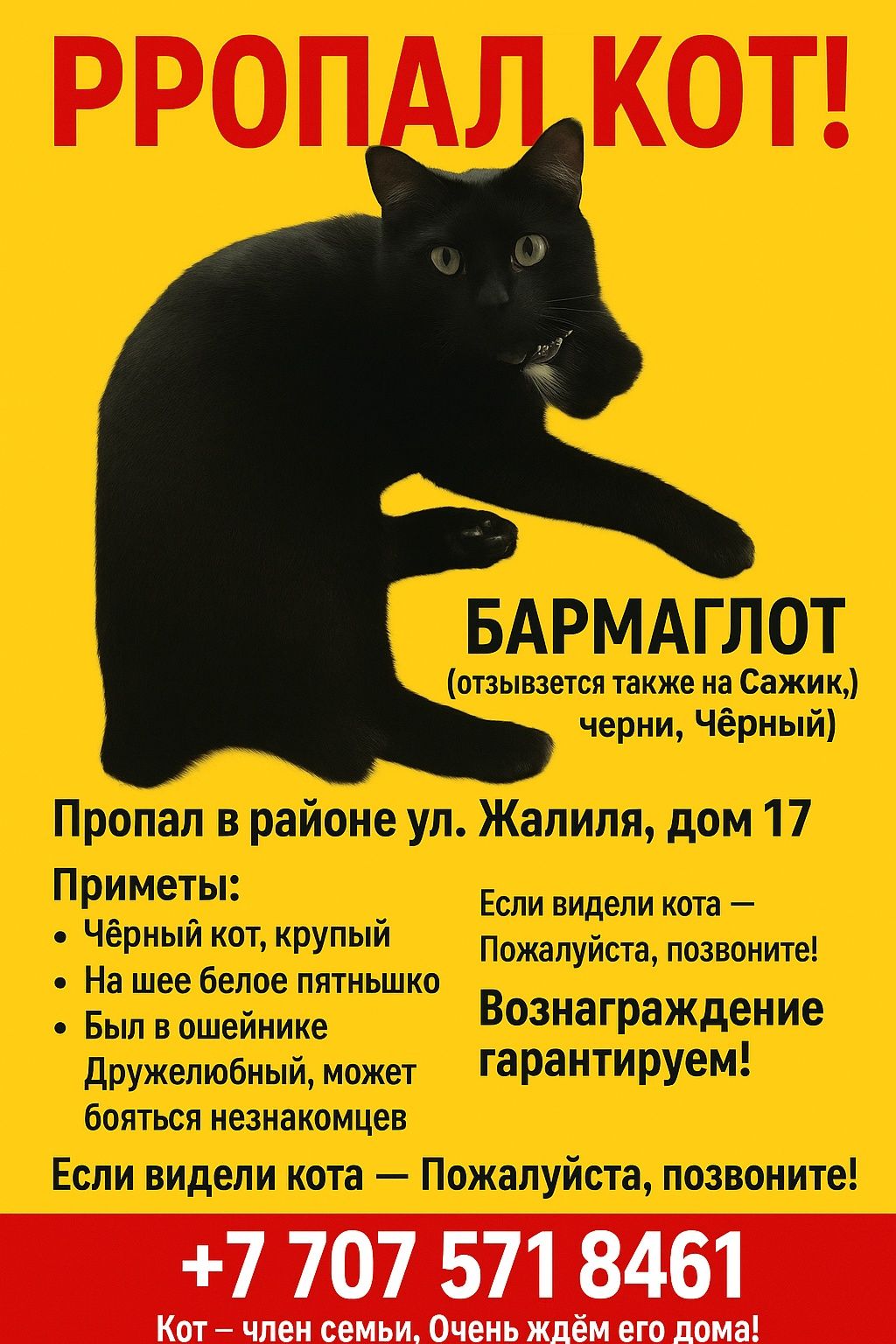Пропал взрослый чёрный кот