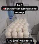 Свежий КЫМЫЗ 1,5 литра, БЕСПЛАТНАЯ доставка по городу
