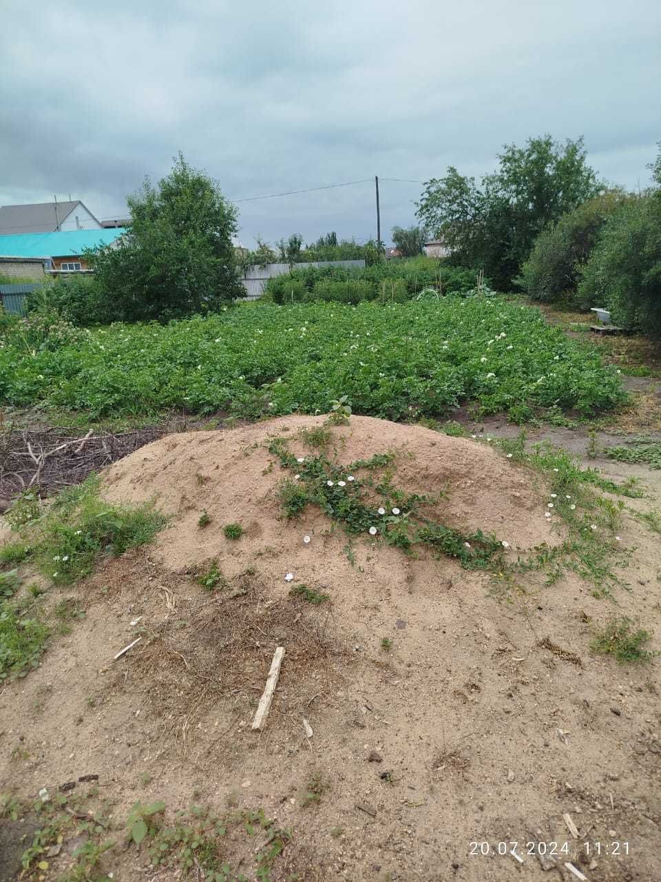 Продам дом с земельным участком!