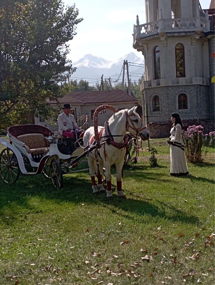 Карета на прокат
