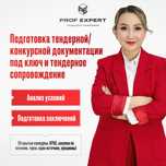Подготовка тендерной/конкурсной документации