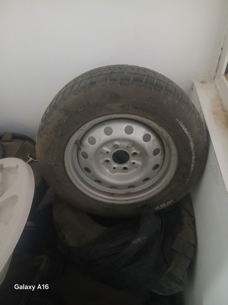 Щиныи 13 жагдай жаксы