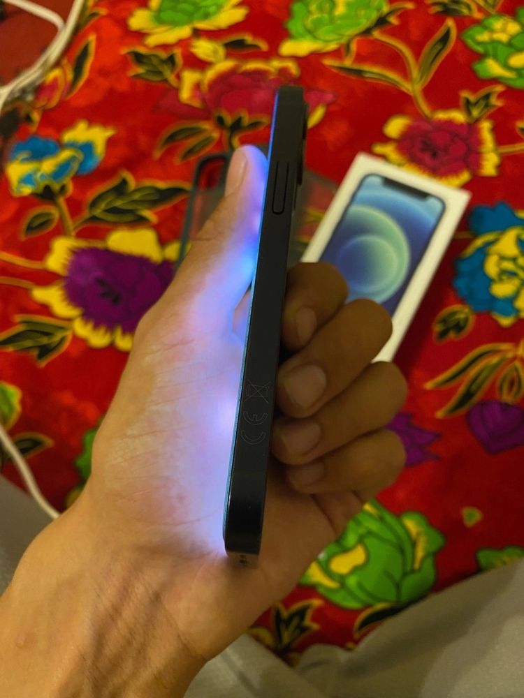 Apple 12 mini
