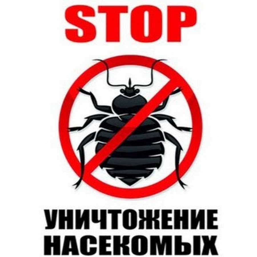 Лисаковск - уничтожение блох, клопов, тараканов, муравьев