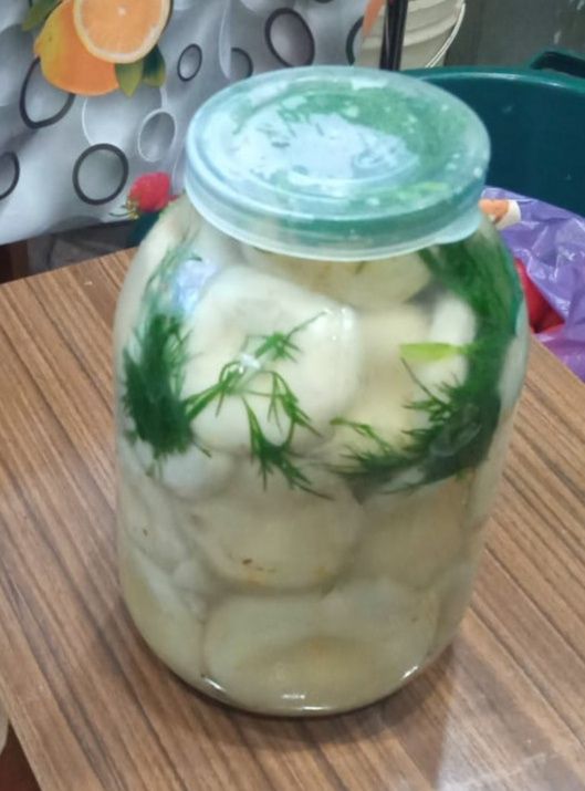Продам Грузди маринованные Аккольские